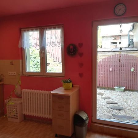 Apartamento Prázdninový byt Arin Jáchymov Exterior foto