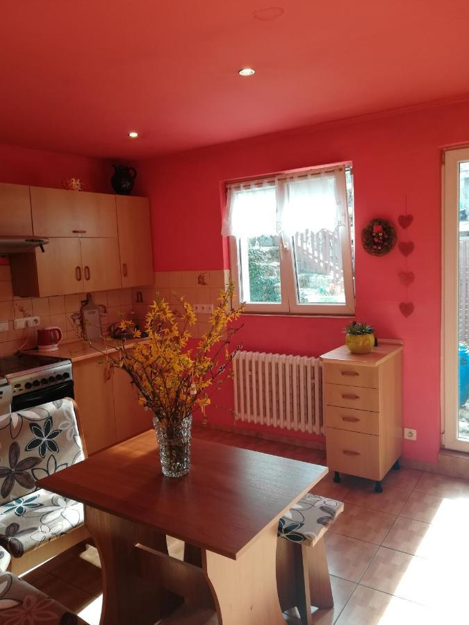 Apartamento Prázdninový byt Arin Jáchymov Exterior foto