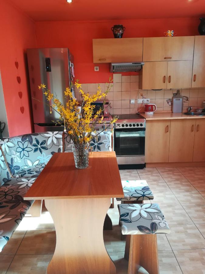 Apartamento Prázdninový byt Arin Jáchymov Exterior foto