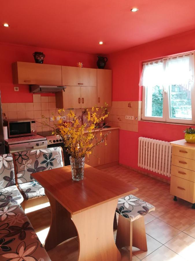 Apartamento Prázdninový byt Arin Jáchymov Exterior foto