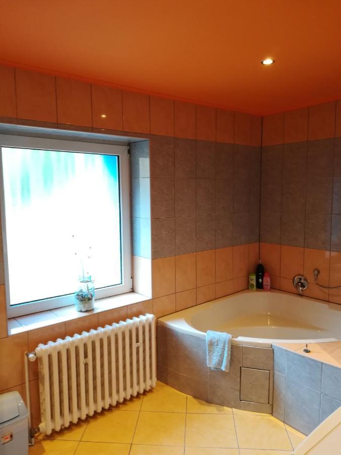 Apartamento Prázdninový byt Arin Jáchymov Exterior foto